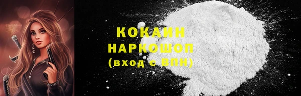 индика Беломорск