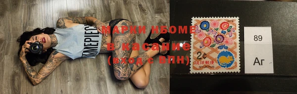 индика Беломорск