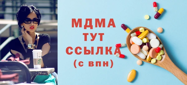 индика Беломорск