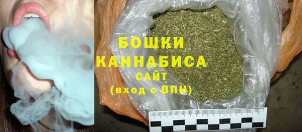 индика Беломорск