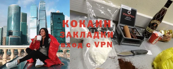 индика Беломорск