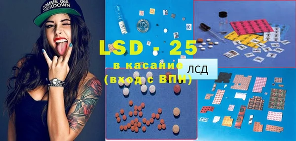индика Беломорск
