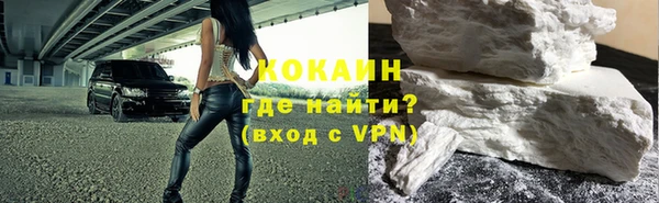 индика Беломорск