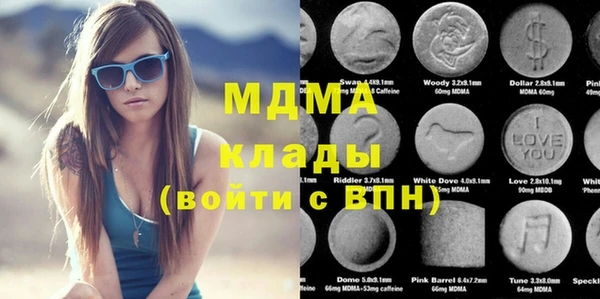 индика Беломорск