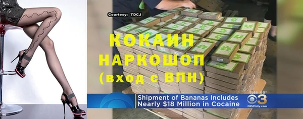 индика Беломорск